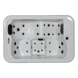 Спа бассейн Delfi Spa Jemo